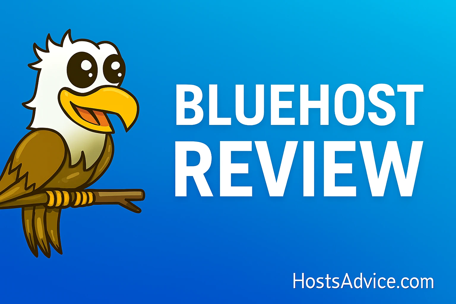 Bluehost Review 2025